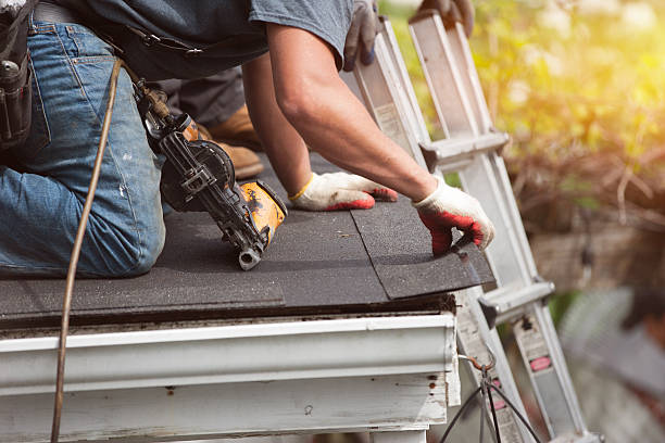Best Roof Gutter Cleaning  in Cairo, IL